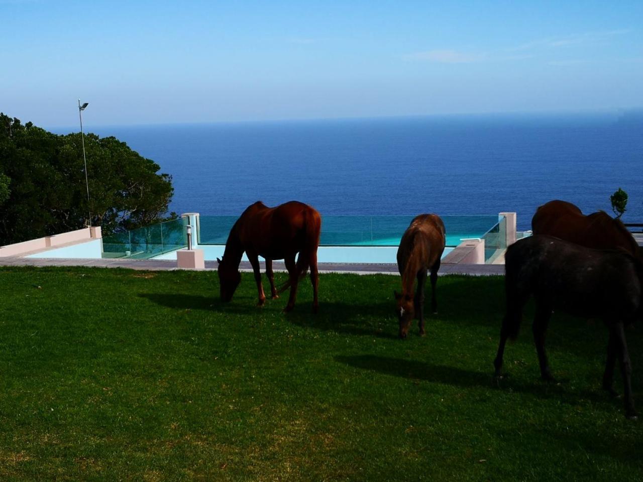 Tsitsikamma On Sea Resort Witelsbos Exterior photo